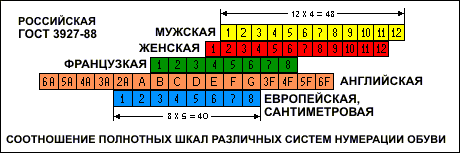 Данные полноты ноги. Таблица 